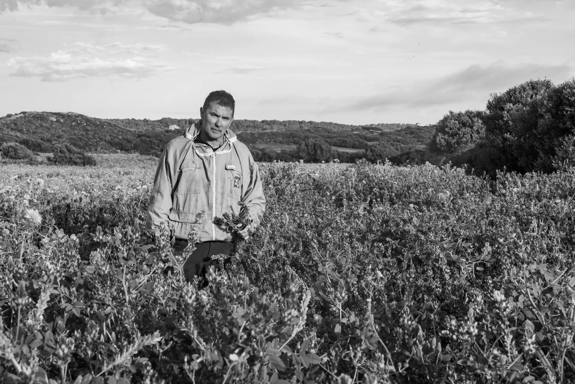 La fascinante historia de la miel de Menorca · fotografía de Antoni Anglada