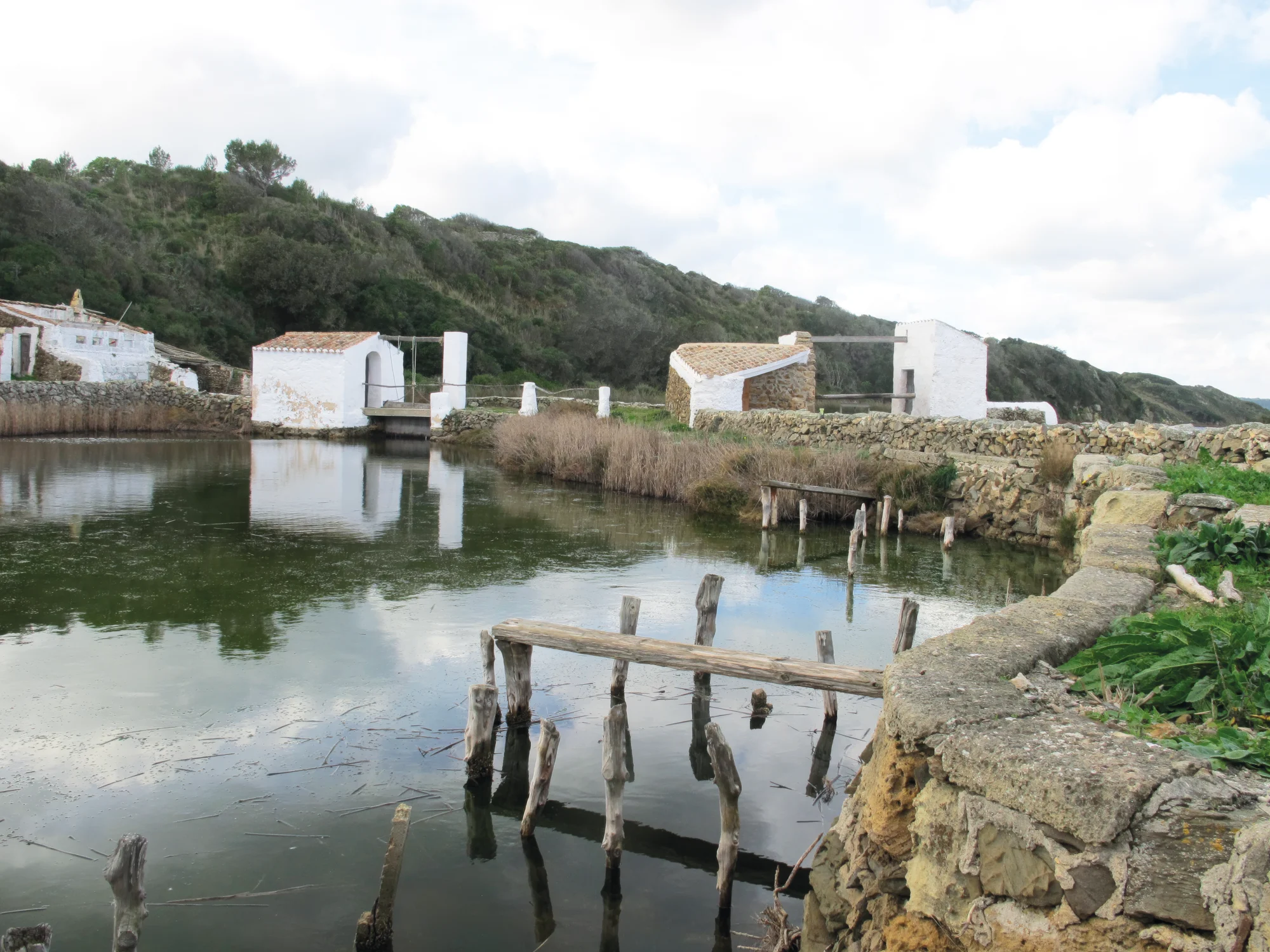 La Albufera des Grau · fotografía de Adolf Sintes