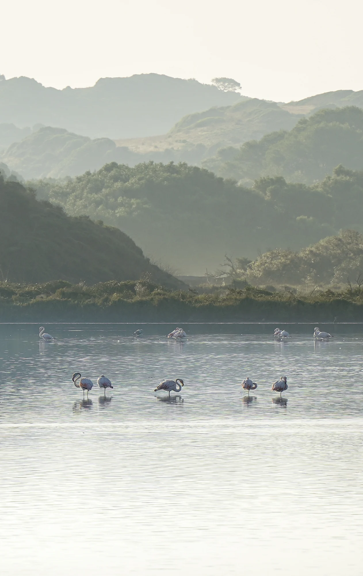 Menorca · fotografía de Toni Rotger Coll