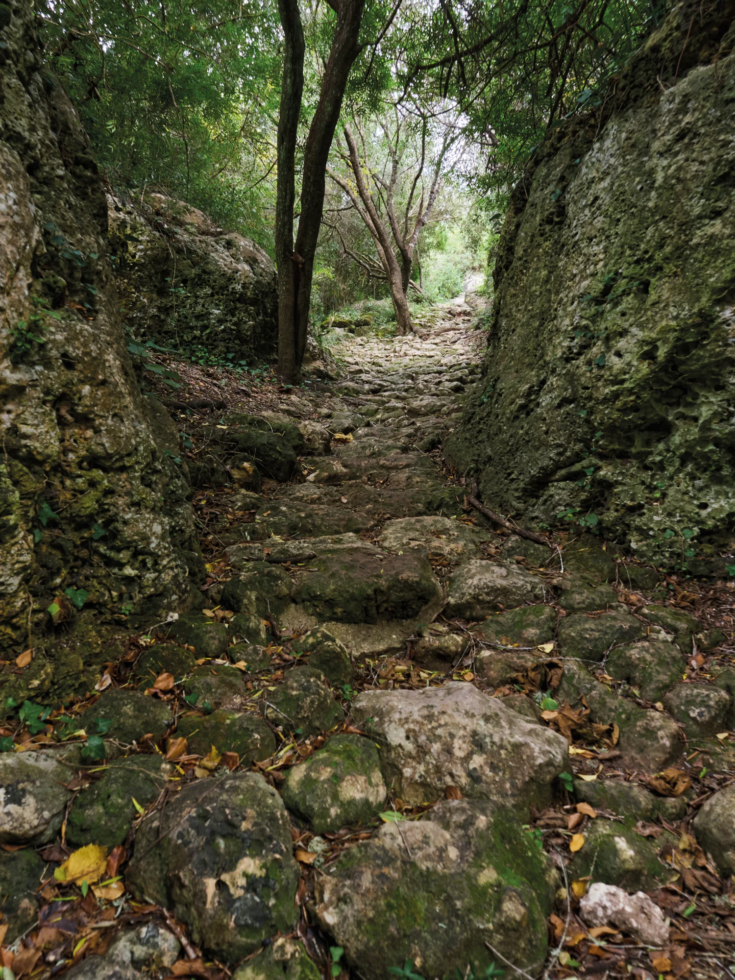 Serena tranquilidad · fotografía de Ajuntament de Ferreries