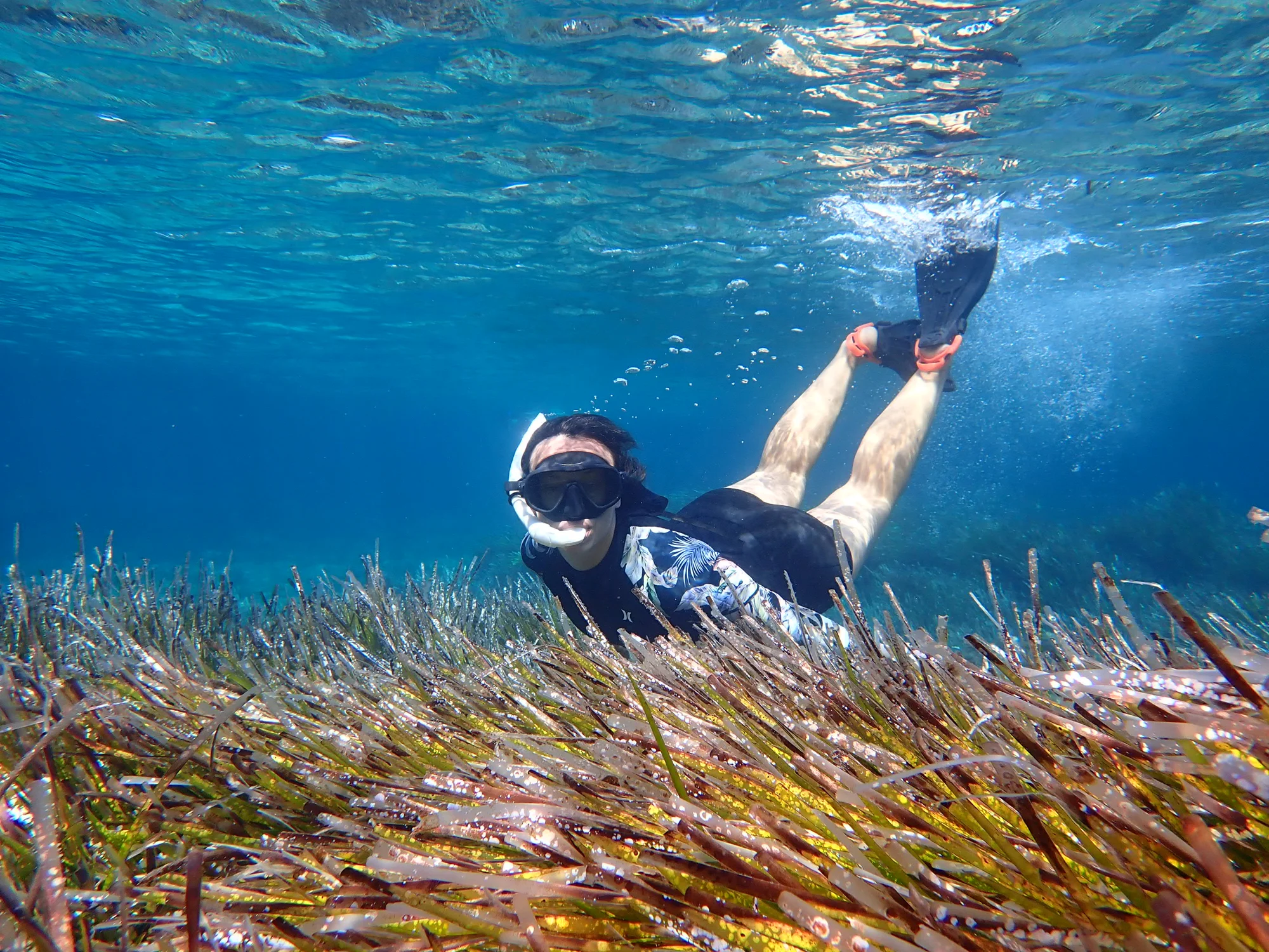 Reserva marina de l’Illa de l’Aire · fotografía de Raül Triay