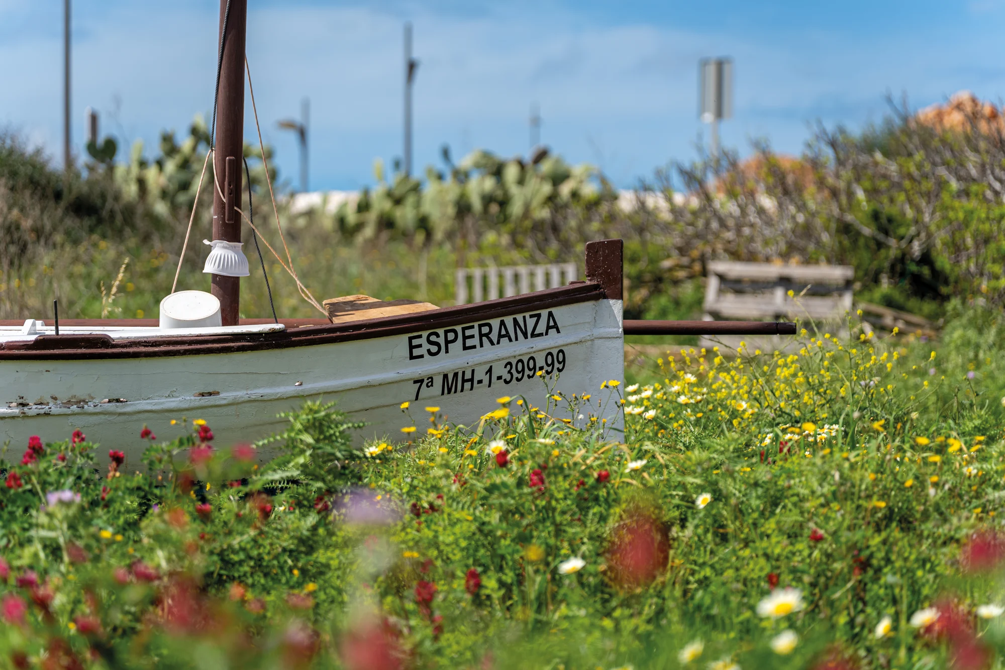 Un refugio de tranquilidad · fotografía de Bià Pons