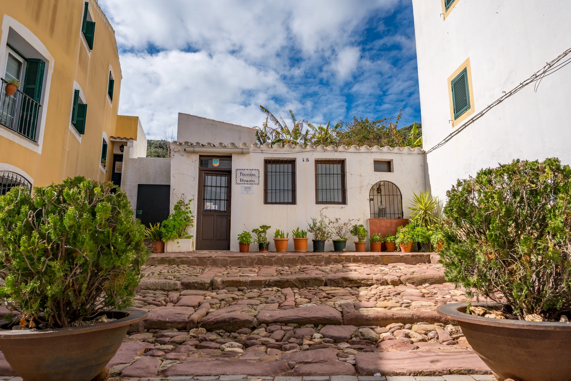 Serena tranquilidad · fotografía de Bià Pons