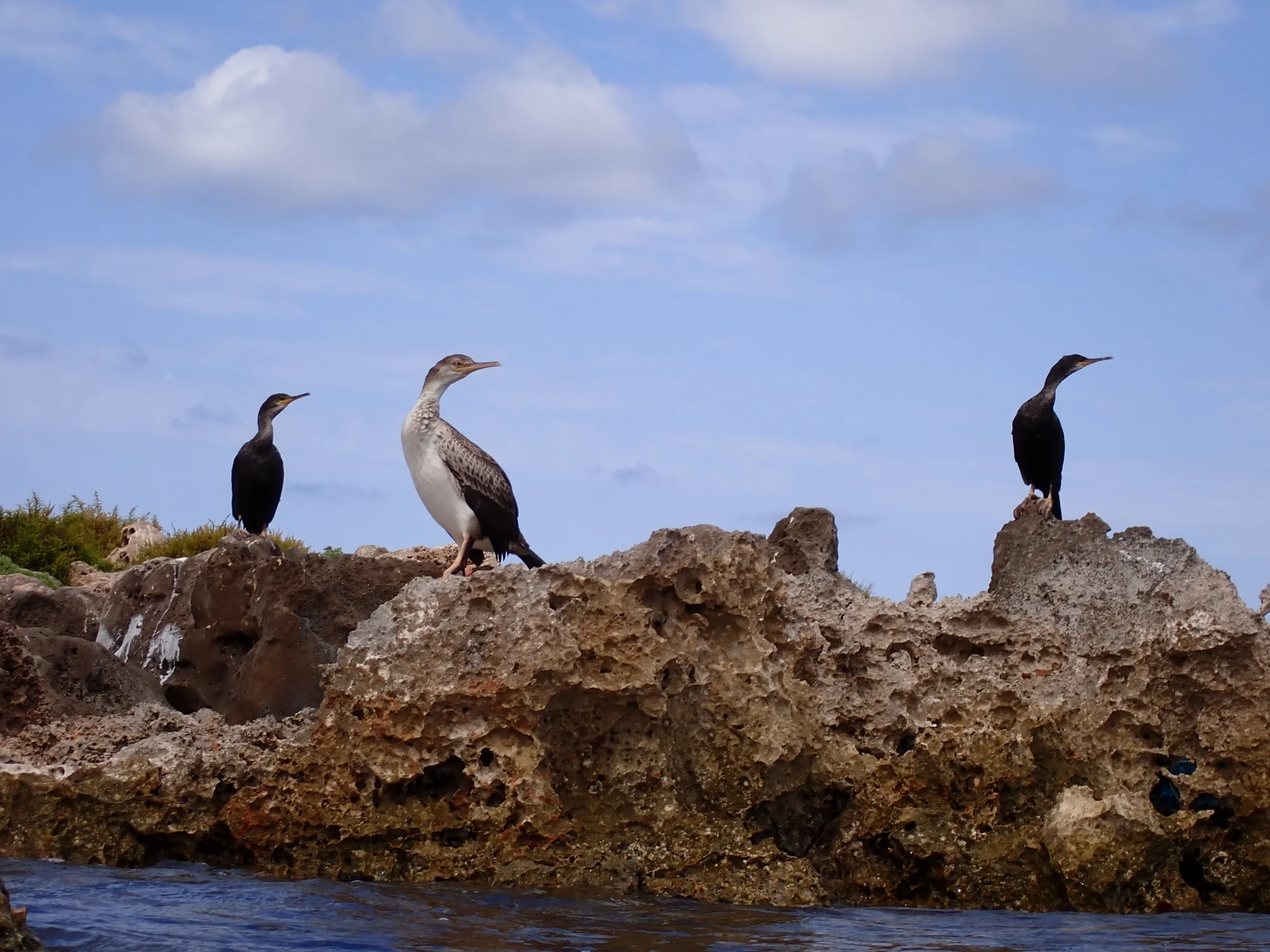 Reserva marina de l’Illa de l’Aire · fotografía de Marina Rueda
